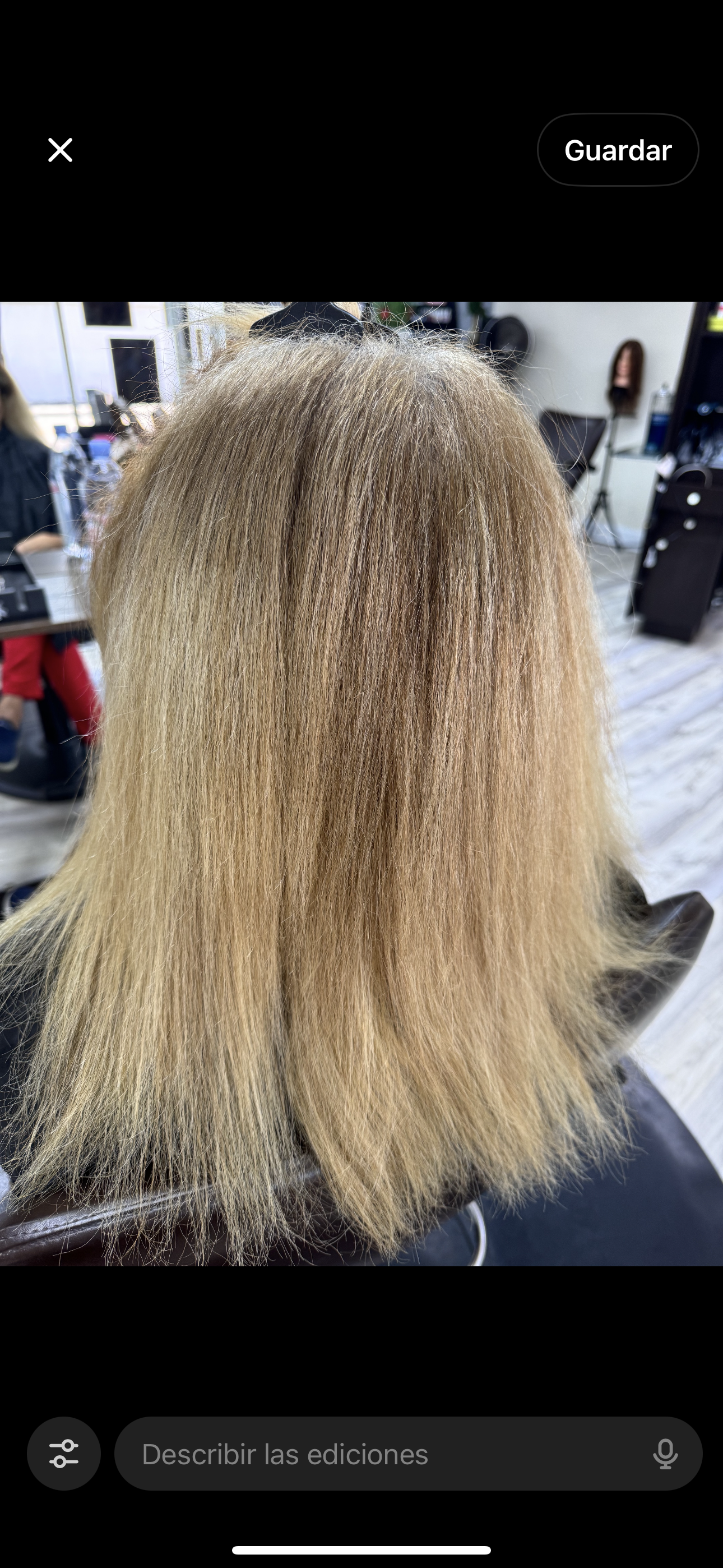 Before — Bright Balayage