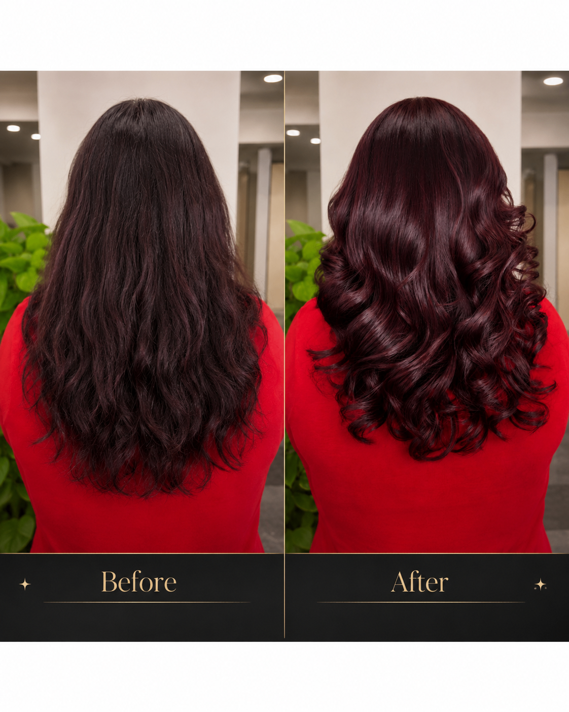 Color & Transformation